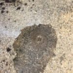 Water Leak Detection Melbourne