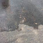 Water Leak Detection Melbourne