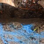 Water leak detection Melbourne