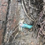 Water leak detection Melbourne