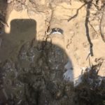 Water leaks under house detection Melbourne