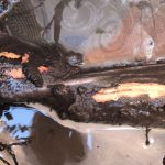 hidden water leaks under house foundation