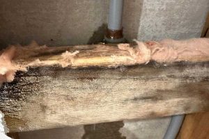 Water Leak Detection Sandringham