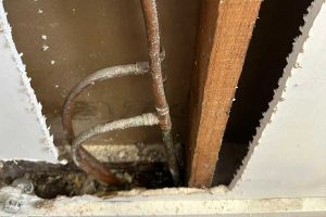 water leak detection mornington peninsula