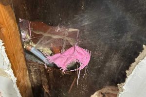 water leak detection mornington peninsula