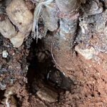 Leak detection Camberwell