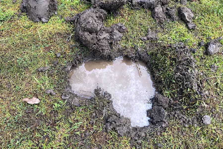 leak detection camberwell