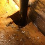 water leak detection croydon