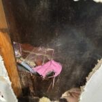 leak detection Carrum Downs