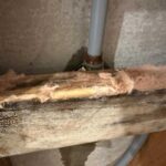 pipe leak detection Carrum Downs