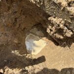 underground leak detection Carrum Downs