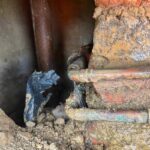 wall leak detection Carrum Downs