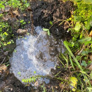 water and gas leak detection cranbourne