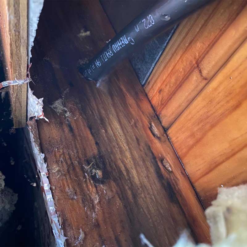 water and gas leak detection cranbourne
