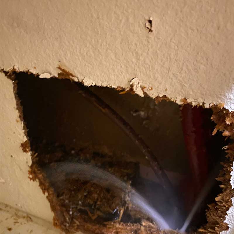 water and gas leak detection cranbourne