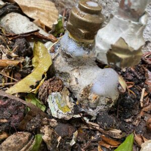 water and gas leak detection cranbourne