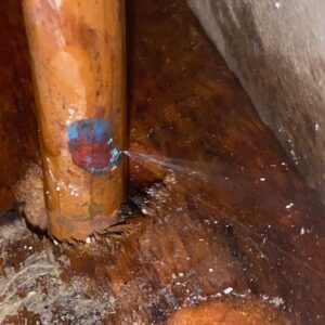 water and gas leak detection cranbourne