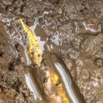 water leak detection blackburn