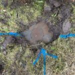 water leak detection blackburn