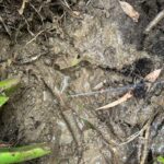 water leak detection blackburn