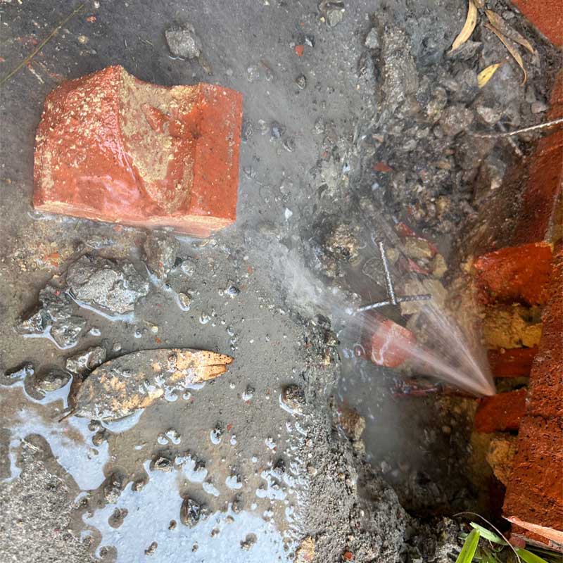 water leak-detection elwood