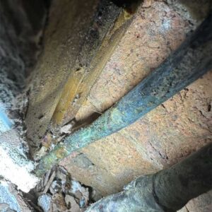water leak-detection elwood