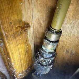 water leak-detection elwood